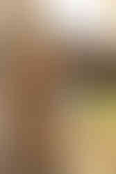 Fall mini highlights | Alabama family photographer