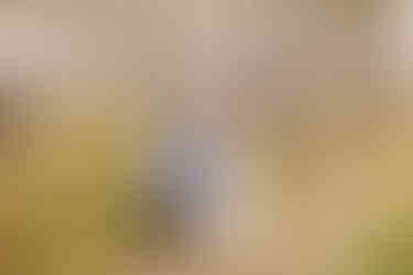 Nature maternity session | Fairhope maternity photographer