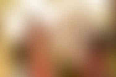 Waterfront outdoor family session | Alabama family photographer