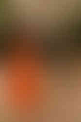 Alabama and Florida Fall Family Photo Spots | Fall Photo Locations Guide