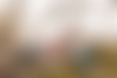 The Robinson Family | Couple + Family Beach Session | Gulf Breeze Family Photographer