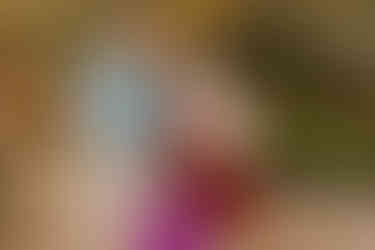 6-month milestone session | Alabama family photographer