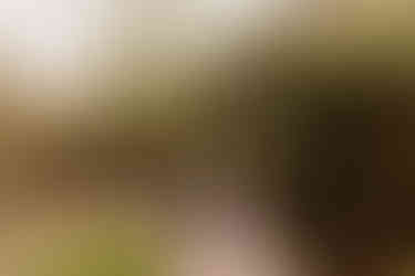 Beachy sunset couple session | Alabama couple photographer