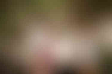 Outdoor family session at Oscar Johnson Park | Alabama family photographer