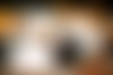 Skylyr + Amos | Gilmore Girls Themed Wedding Celebration | Waynesboro, TN