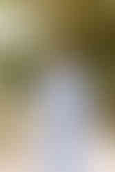 Posing ideas for groom pictures | groom poses for wedding photos