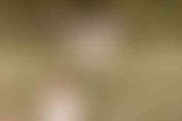 Chattanooga family session | Tennessee family photographer