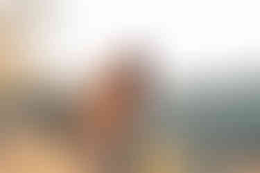 Cloudland Canyon adventure couple session | Georgia couple photographer