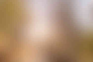 Cloudland Canyon adventure couple session | Georgia couple photographer