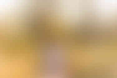 Fall 2024 Short Story Sessions | couple + family minis | Alabama and Georgia photographer