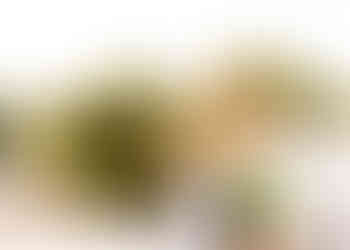 Senior Adventure Session | Alabama Photographer