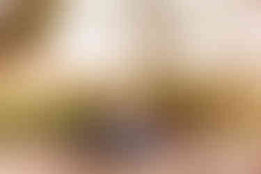 Fall Family Adventure Session | Alabama Family Photographer