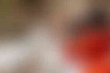 Historic Malbis Nursery moody wedding | Spanish Fort, Alabama wedding photographer