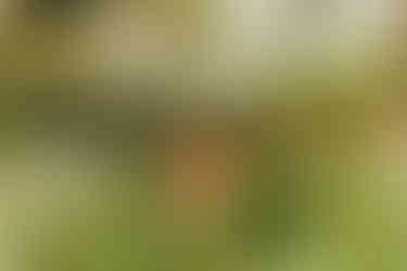 Senior Adventure Session | Alabama Photographer