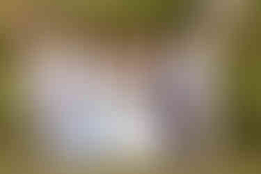 Mountain wedding | West Virginia wedding photographer