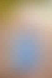 Two year milestone session | Mobile, Alabama children photographer