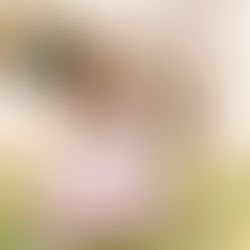 Pay What You Can Motherhood Minis | Mother's Day 2023 Gift Idea