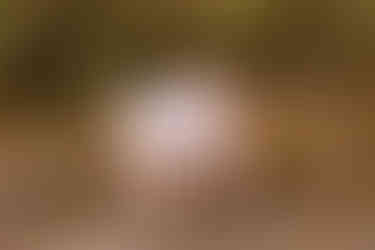 Outdoor family adventure session | Alabama family photographer