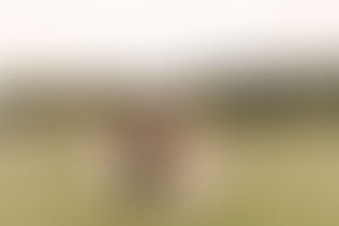 The Cuppett Family | Chattanooga Family Session | Tennessee Family Photographer