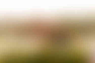 Outdoor Summer Wedding Inspiration | Alabama Photographer