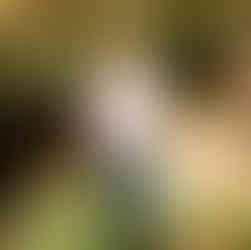 Senior Picture Poses for Guys | Chattanooga Photographer