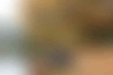 Outdoor family adventure session | Alabama family photographer