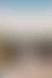 Mountain wedding | West Virginia wedding photographer