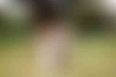 Gulf Coast wedding venues | Alabama and Florida wedding photographer