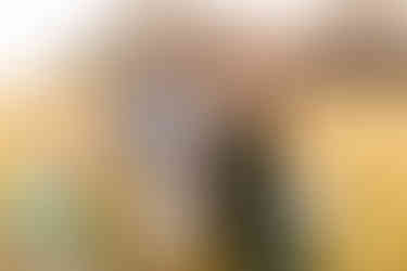 Fall At the Farm Festival | Alabama family photographer