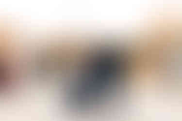 Outdoor Fall Wedding | Alabama Wedding Photographer