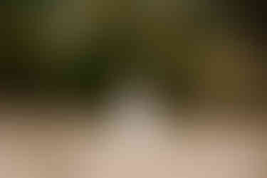 Documentary family photos | Alabama family photographer