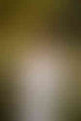 Nature maternity session | Fairhope maternity photographer