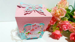 Caixa sushi Jardim encantado