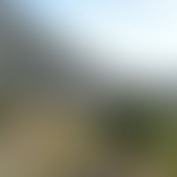 Premier Patriarche Maronite!