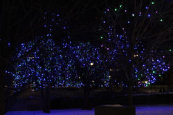 img_3955_31891126495_o