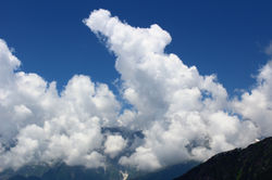 img_1447_31051369474_o