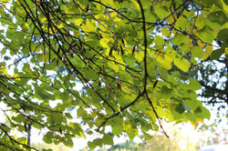 img_3810_31774839571_o