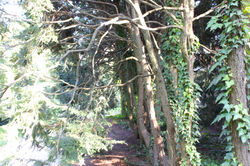 img_3826_31853976246_o