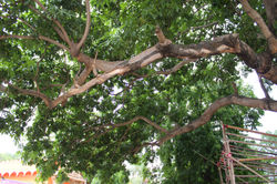 img_3601_31518319220_o