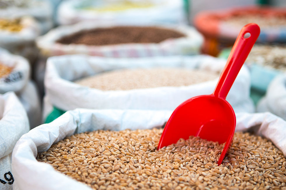 Cucharón semillero en uso BR.jpg