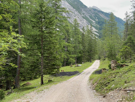 Path in the tyrolean mountains