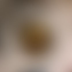 Restaurant Stadele in Lana – Kulinarik trifft Gemütlichkeit