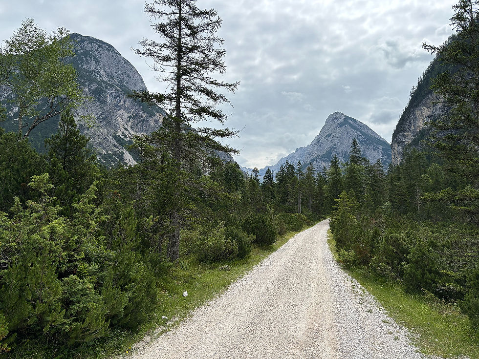 Forstweg in den Bergen Tirols