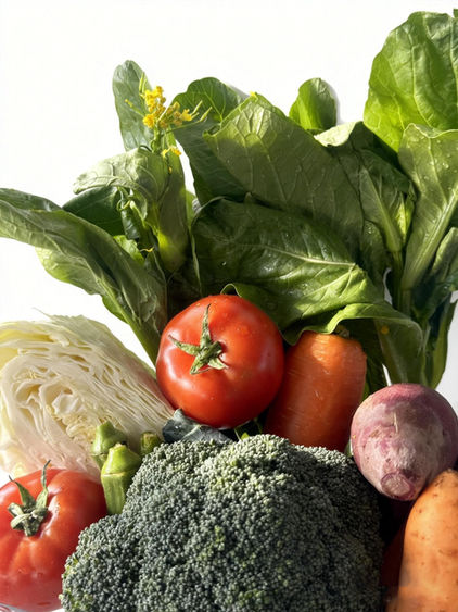 healthy pet food Malaysia
