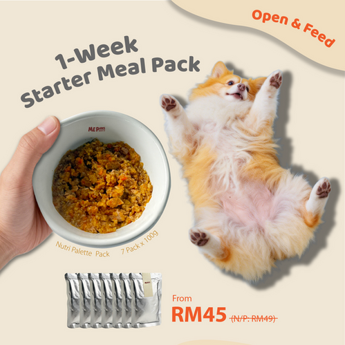 fresh dog food Malaysia