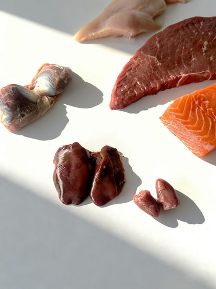 fresh dog food Malaysia
