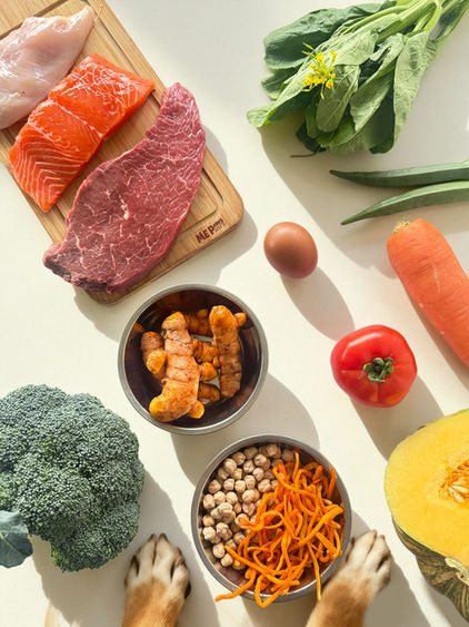 fresh dog food Malaysia