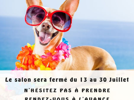 Information : Date de fermeture du salon cet été 2021