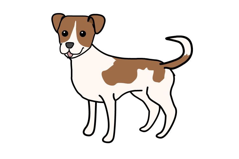 jackrusselsublimopoil.gif