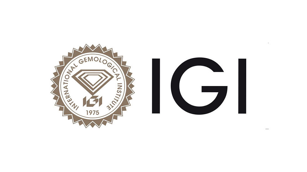 logo IGI